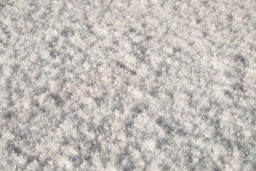 white snowy frost texture, frosty winter background.