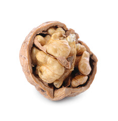 Fresh walnut on white background