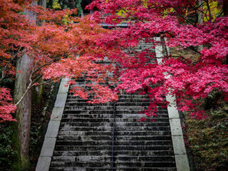 比叡山の紅葉と石段