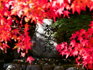 紅葉に囲まれる石像