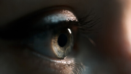 A woman's eye with beautiful eyelashes. Gray cornea with a brown spot. view on the side