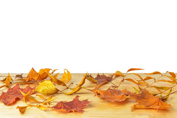 Beautiful autumn leaves on wooden table against white background