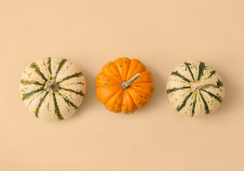 Different ripe pumpkins on light background