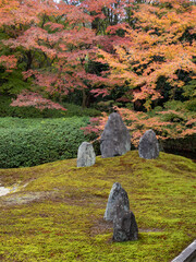 京都　光明院　窓から見える紅葉　石庭