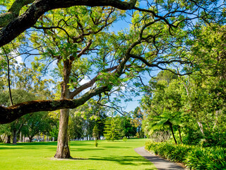 Kings Park and Botanical Garden is a 400.6-hectare park overlooking Perth Water and the central business district of Perth, WA
