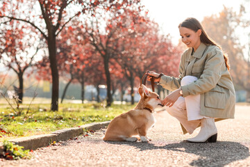 Young woman with cute Corgi dog in autumn park