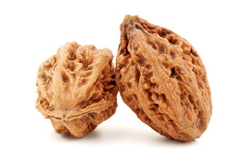walnut isolated on white background