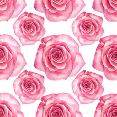 Seamless pattern watercolor pink rose isolated on white. Hand drawn botanical flower for Valentine's day or 8 March. Hello spring. Happy women's day. Background for wedding celebration invite wrapping