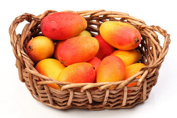 Mango on a white background