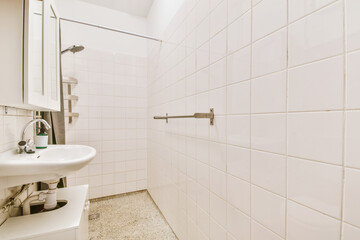 Long narrow bathroom with shower at the beginning
