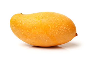 Mango on white background