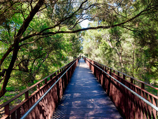 Obraz premium Kings Park and Botanical Garden is a 400.6-hectare park overlooking Perth Water and the central business district of Perth