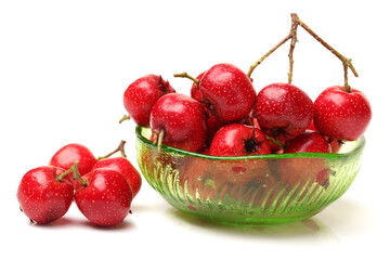 Hawthorn on a white background 