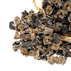 black fungus on white background