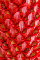 Fototapeta premium Texture peau d’ananas rouge