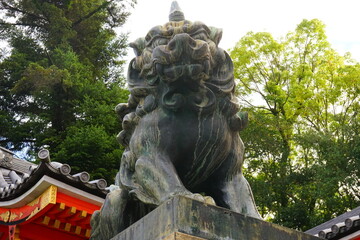 京都 祇園 八坂神社 狛犬