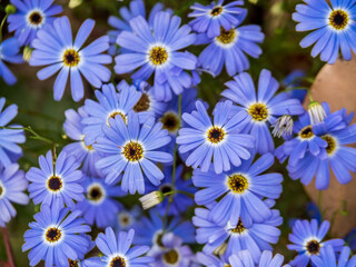 Kings Park and Botanical Garden is a 400.6-hectare park overlooking Perth Water and the central business district of Perth