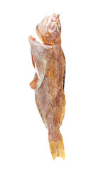 fresh fish isolated on white background 