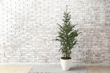 Fototapeta premium Beautiful decorated Christmas tree in pot near light brick wall