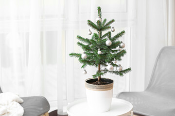 Beautiful decorated Christmas tree in pot on table indoors