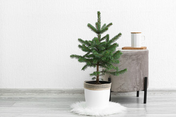 Beautiful Christmas tree in pot and pouf near white wall
