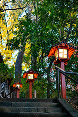 temple, autumn,japan,lanterne,redleaves,sky,chochin,
tokyo,forest,hudoson,red,寺,不動尊, 紅葉,灯篭,赤,森,灯り,