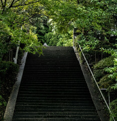 Fototapeta premium 和風 