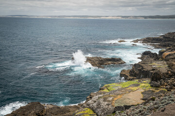 Portland ,Victoria ,Australia
Great South West walk