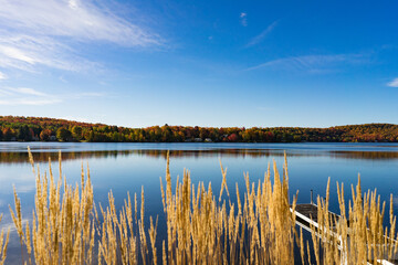 autumn landscape with lake
