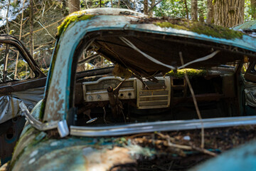 broken car in the forest