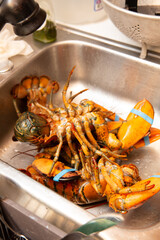 Live Lobsters in Metal Kitchen Sink