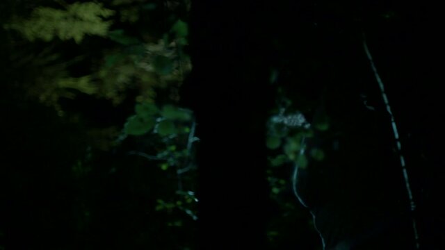 Wounded and bloody woman looking at something terrifying in a dark, spooky forest