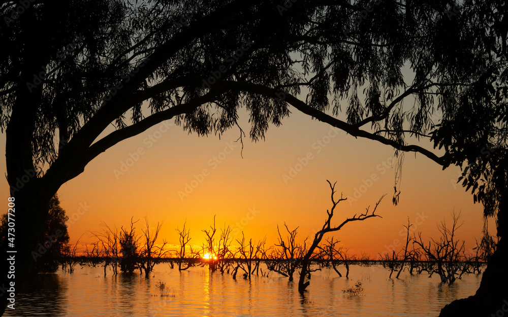 Wall mural Menindee lakes at sunset in the far west of New South Wales, Australia. - Wall murals