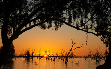 Menindee lakes at sunset in the far west of New South Wales, Australia.