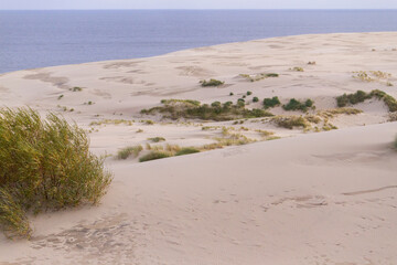 Curonian spit (Kurshskaya kosa) views in Zelenogradsk (Kranz), Russia. Sand, dunes and Baltic sea...