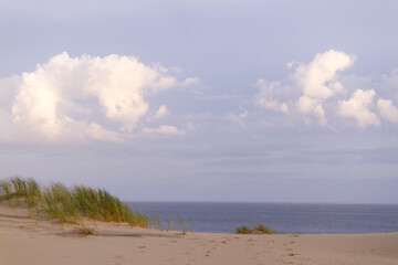 Curonian spit (Kurshskaya kosa) views in Zelenogradsk (Kranz), Russia. Sand, dunes and Baltic sea at Curonian spit.