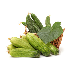 Green cucumber on the white background