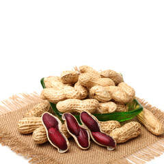 Peanuts on white background