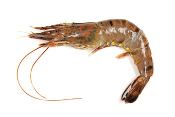 Raw shrimp isolated on white background