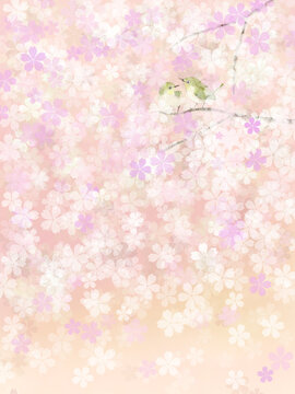 桜とメジロのイラストの背景