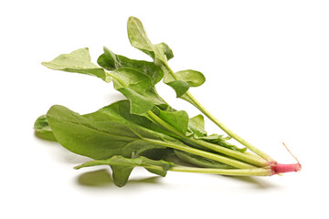 Spinach on white background