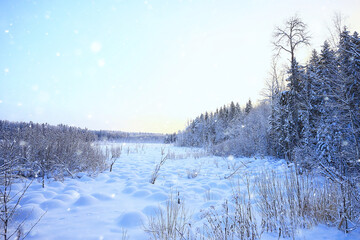 branches covered with frost background abstract winter december view