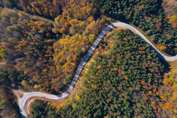 wonderful colors of autumn a forest road