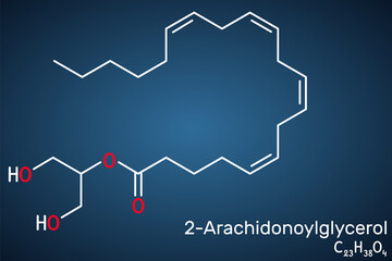 Obraz premium 2-Arachidonoylglycerol, 2-AG molecule. It is an endocannabinoid, formed from omega-6 arachidonic acid and glycerol. Structural chemical formula on the dark blue background