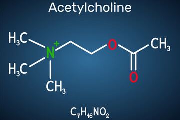 Acetylcholine, ACh molecule. It is parasympathomimetic neurotransmitter, vasodilator agent, hormone, human metabolite. Structural chemical formula on the dark blue background