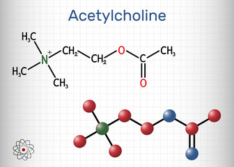 Acetylcholine, ACh molecule. It is parasympathomimetic neurotransmitter, vasodilator agent, hormone, human metabolite. Structural chemical formula and molecule model. Sheet of paper in a cage