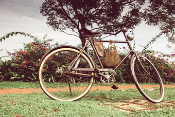 Fototapeta premium Vintage bicycle with old design, parked in garden near flowers. Classic bicycle with white tires resting on a green path. Old bicycle with white tires and bike bell in garden scenery