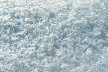 Fresh snow background texture. Winter background with big beautiful snowflakes.
