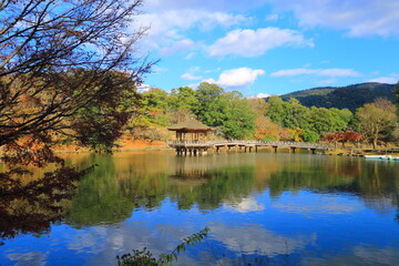 秋の奈良公園　浮見堂