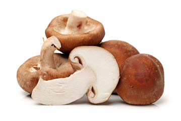 Shiitake mushroom on the White background 